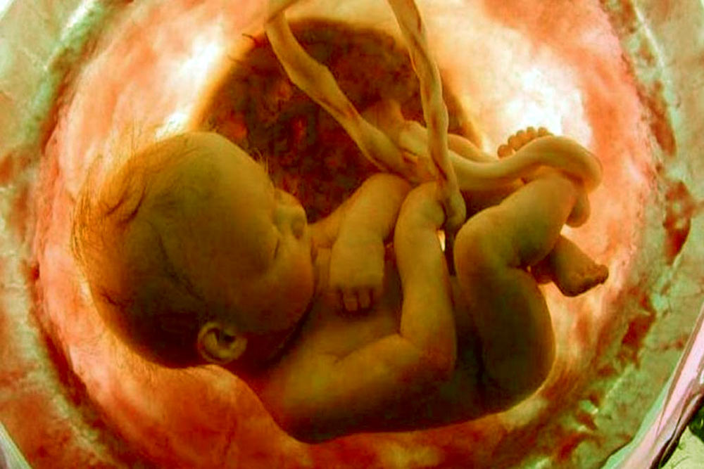 Afinal, o que é DNA?