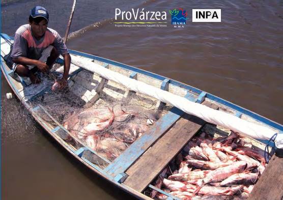 Tambaqui - o Peixe do Amazonas