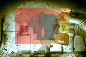 Sistema Nacional de Ciência