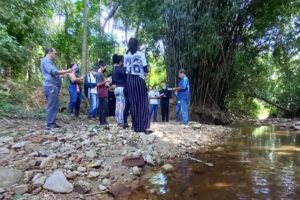 Valor Intrínseco de 1 Rio