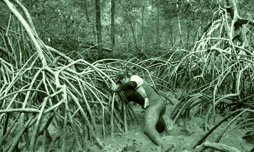 Pesquisadores do Projeto Mangues da Amazônia