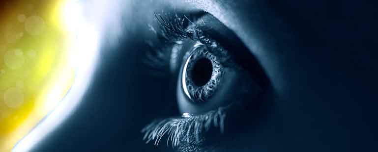 Ciência – Humanidade na Construção do Futuro